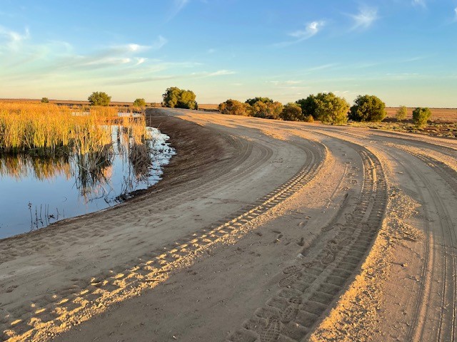  Remediation - Pond Remediation 