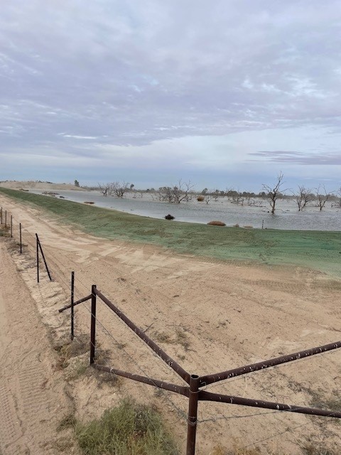  Watson Pond: Polymer application around pond walls 