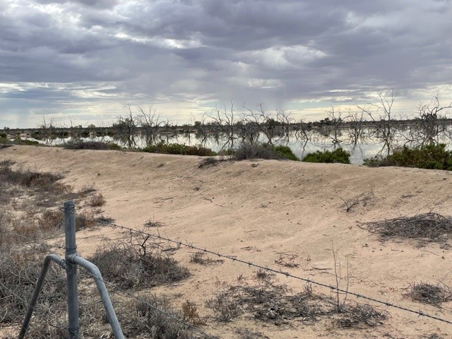  Watson Pond: Polymer application around pond walls 